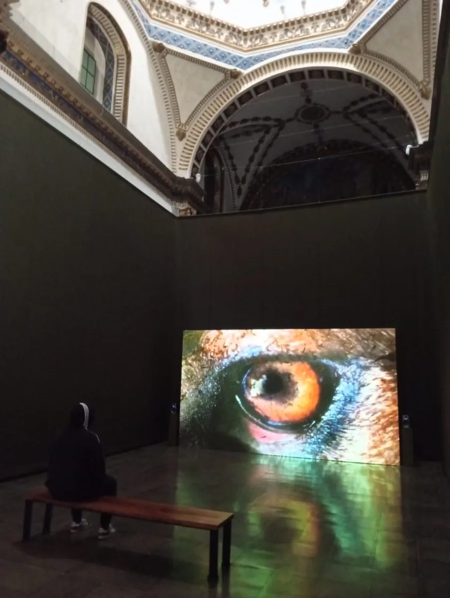 Videoinstalación Drench en Laboratorio Arte Alameda