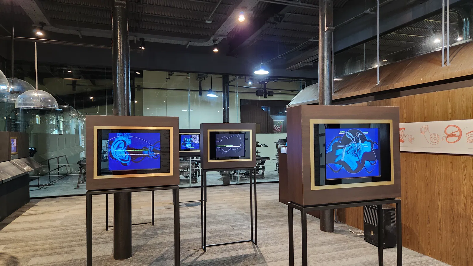 Recursos interactivos relacionados con la percepción auditiva en la Casa de la Música de Viena en Puebla.