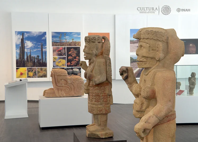 Esculturas de barro en la sala del Museo de Sitio de Tehuacán el Viejo