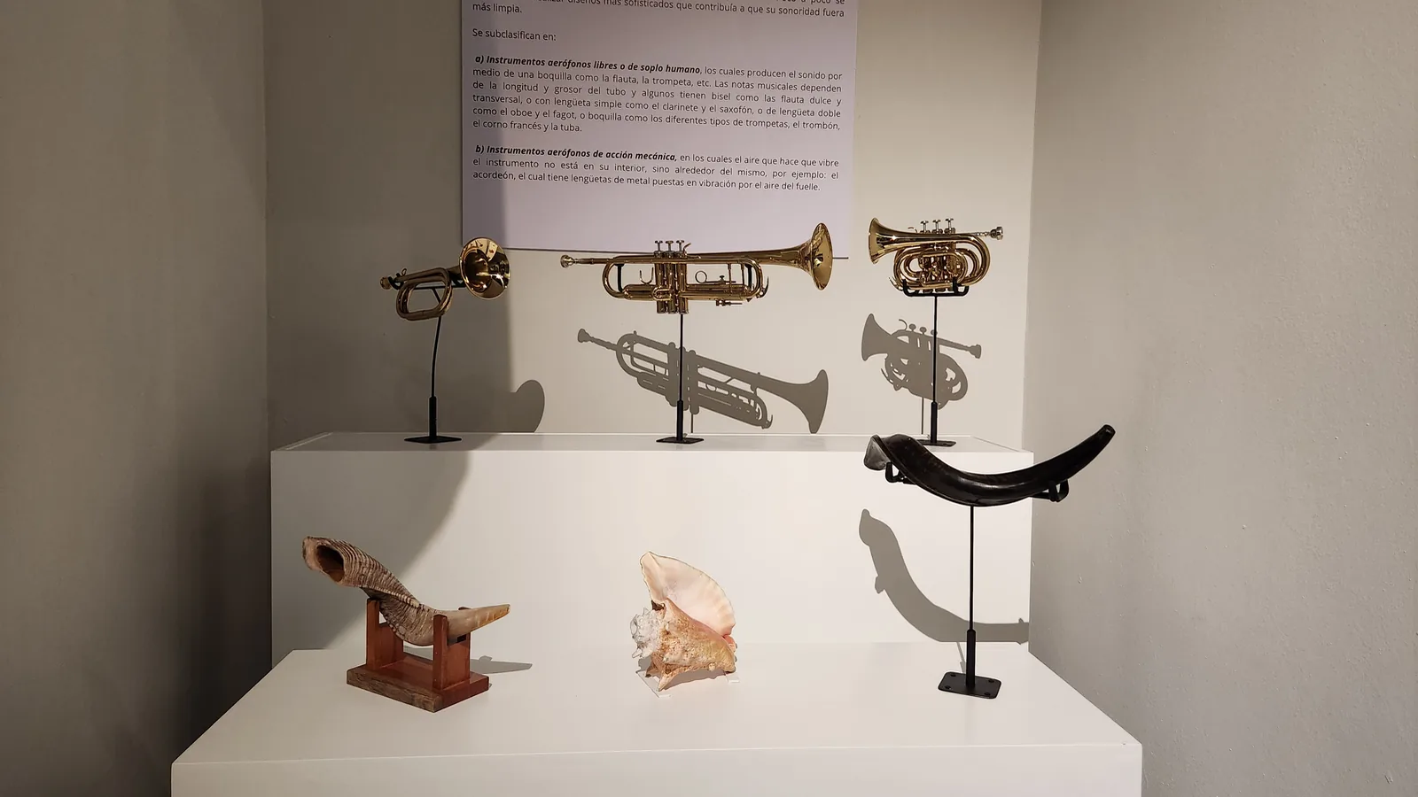 Detalle de instrumentos de viento en Sonidos del Mundo 2024.