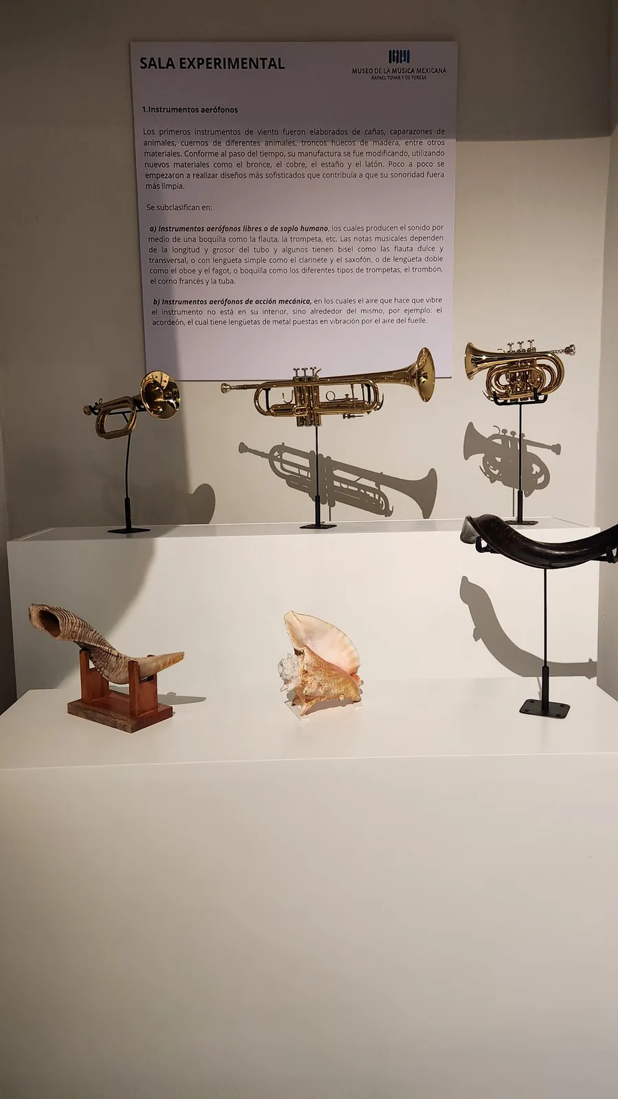 Detalle vertical de instrumentos y gráfica de sala en Sonidos del Mundo 2024.